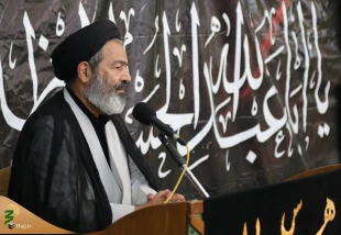 نماینده ولی فقیه در امور حج و زیارت تاکید کرد:

لزوم آسیب شناسی و بهینه سازی برنامه های اربعین 4