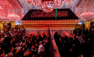عزاداری روز 28 صفر زائران در حرم علوی/گزارش تصویری 5