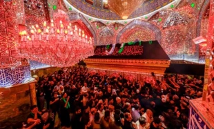 عزاداری روز 28 صفر زائران در حرم علوی/گزارش تصویری 10