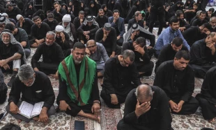 عزاداری روز 28 صفر زائران در حرم علوی/گزارش تصویری 12