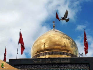 نمایندگان خراسان، قم و فارس جهت تحقق بودجه زیارت تلاش کنند
