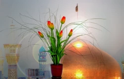 چگونه قاری حرم امام رضا(ع) شویم 2