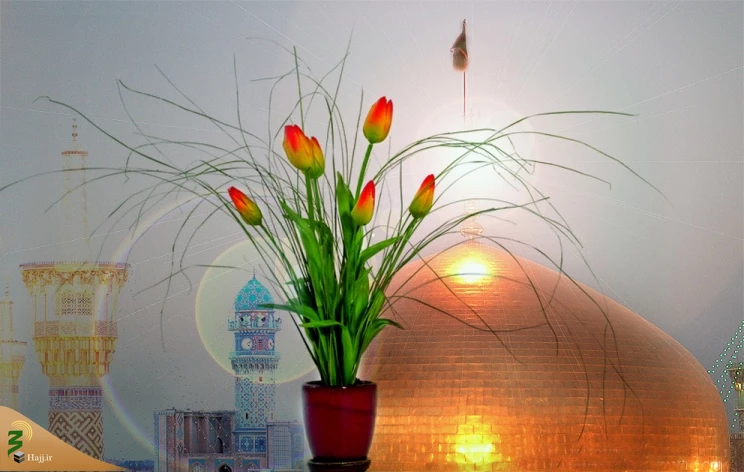 چگونه قاری حرم امام رضا(ع) شویم 2