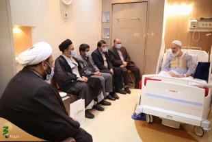 عیادت سرپرست حجاج ایرانی از آیت‌الله حسینی بوشهری 3