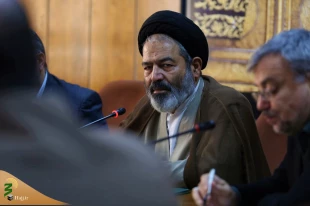 زائران حسینی به صورت هوایی به عتبات اعزام می‌شوند 3