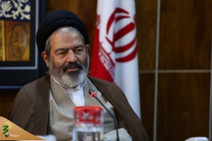 زائران حسینی به صورت هوایی به عتبات اعزام می‌شوند 6
