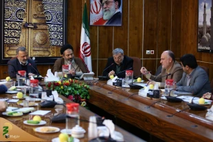 زائران حسینی به صورت هوایی به عتبات اعزام می‌شوند 7