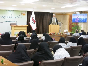 اربعین به یک دیپلماسی اخلاقی، فرهنگی و اعتقادی تبدیل شده است 5