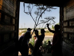 ابتکار «سبز» یک پاکستانی برای خدمت به زائران اربعین