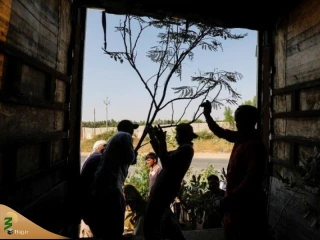 ابتکار «سبز» یک پاکستانی برای خدمت به زائران اربعین