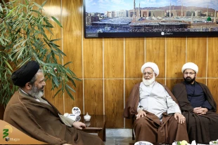بررسی مشکلات زائران پاکستانی در سفر به ایران و حضور در مراسم اربعین درعتبات 3