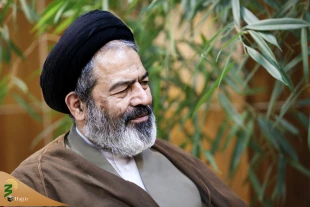 بررسی مشکلات زائران پاکستانی در سفر به ایران و حضور در مراسم اربعین درعتبات 4