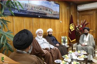 بررسی مشکلات زائران پاکستانی در سفر به ایران و حضور در مراسم اربعین درعتبات 6
