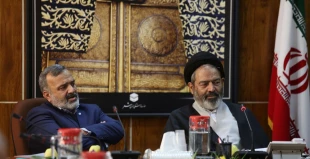موضوع کاهش عوامل ستادی و اجرایی به حج در حال پیگیری است 3