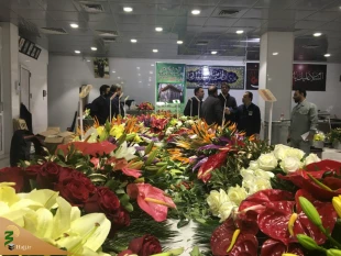 گل آرایی حرم مطهر حضرت زینب (س) + گزارش تصویری 2