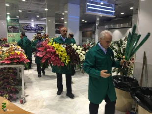 گل آرایی حرم مطهر حضرت زینب (س) + گزارش تصویری 3