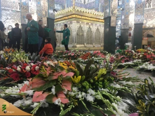 گل آرایی حرم مطهر حضرت زینب (س) + گزارش تصویری 5