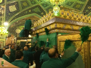 گل آرایی حرم مطهر حضرت زینب (س) + گزارش تصویری 7