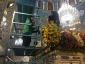 گل آرایی حرم مطهر حضرت زینب (س) + گزارش تصویری 8