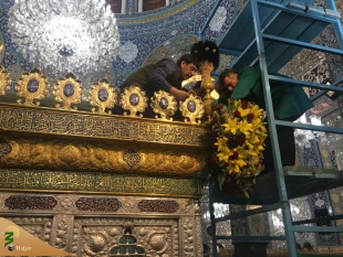 گل آرایی حرم مطهر حضرت زینب (س) + گزارش تصویری 2