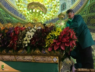 گل آرایی حرم مطهر حضرت زینب (س) + گزارش تصویری 4