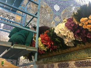 گل آرایی حرم مطهر حضرت زینب (س) + گزارش تصویری 6