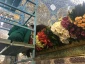 گل آرایی حرم مطهر حضرت زینب (س) + گزارش تصویری 6