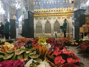 گل آرایی حرم مطهر حضرت زینب (س) + گزارش تصویری