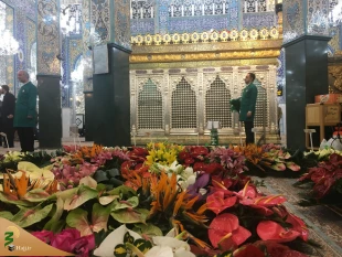 گل آرایی حرم مطهر حضرت زینب (س) + گزارش تصویری 2