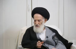 آیت الله شبیری: نقش سردار سلیمانی در صیانت از عتبات و مقابله با داعش ماندگار است 2