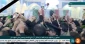 طواف پیکر سردار شهید حاج قاسم سلیمانی در حرم مطهر حضرت فاطمه 4
