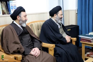 تاکید مراجع تقلید بر جایگاه وزین زائران و حجاج ایرانی و رعایت قوانین کشور میزبان 7