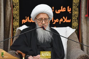 تاکید مراجع تقلید بر جایگاه وزین زائران و حجاج ایرانی و رعایت قوانین کشور میزبان 9