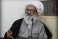 آیت الله بشیر نجفی بر عظمت زیارت عتبات مقدس تأکید کرد 2