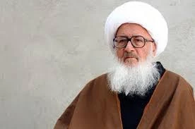 توصیه آیت الله العظمی وحید خراسانی برای دفع بیماری و نگرانی
