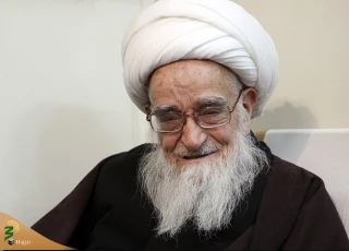 تاکید آیت‌الله صافی گلپایگانی بر رعایت توصیه‌های پزشکی