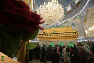عکس | تزئین حرم مطهر امیرالمومنین(ع) با چهار هزار شاخه گل 3