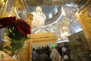 عکس | تزئین حرم مطهر امیرالمومنین(ع) با چهار هزار شاخه گل 4