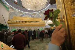 عکس | تزئین حرم مطهر امیرالمومنین(ع) با چهار هزار شاخه گل 6