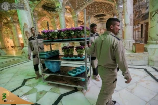 عکس | تزئین حرم مطهر امیرالمومنین(ع) با چهار هزار شاخه گل 7