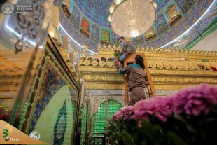 عکس | تزئین حرم مطهر امیرالمومنین(ع) با چهار هزار شاخه گل 11