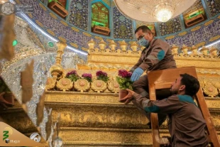 عکس | تزئین حرم مطهر امیرالمومنین(ع) با چهار هزار شاخه گل 12