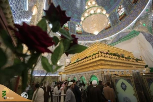 عکس | تزئین حرم مطهر امیرالمومنین(ع) با چهار هزار شاخه گل 14