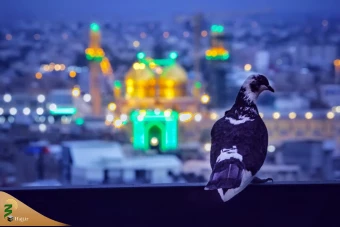 بارگاه مطهر امام موسی کاظم(ع)
 2