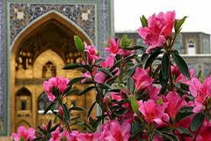 دستورالعمل‌‌هایی برای بازشدن گره‌های زندگی از آیت‌الله بهاءالدینی