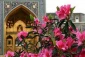 دستورالعمل‌‌هایی برای بازشدن گره‌های زندگی از آیت‌الله بهاءالدینی 2