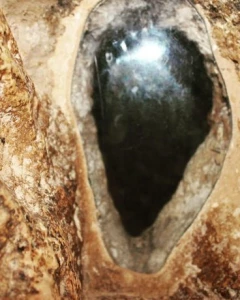 غار اصحاب کهف
