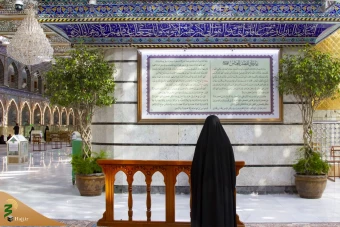 زیارت شهر مقدس کربلا در وانفسای کرونا
 9
