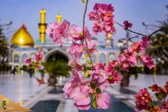 زیارت شهر مقدس کربلا در وانفسای کرونا
 24