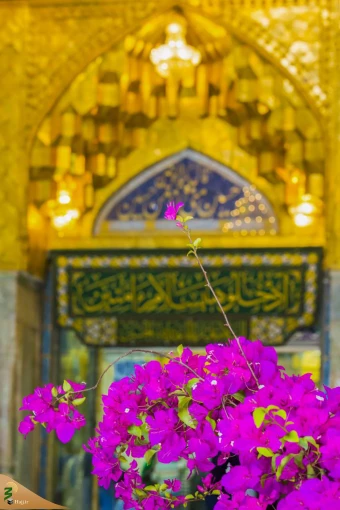 زیارت شهر مقدس کربلا در وانفسای کرونا
 31